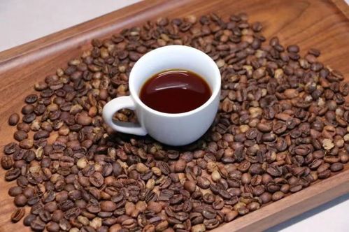 保山小粒咖啡榮獲 全國名特優(yōu)新農(nóng)產(chǎn)品 稱號