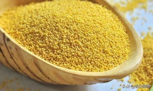 小米這樣吃，蒸一炒香比肉還誘人