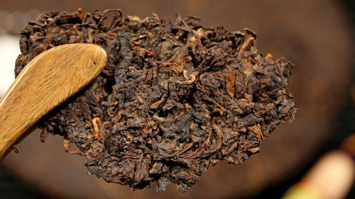 品味時光的醇香 茂連古樹七子餅普洱茶