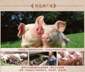 杭州特產(chǎn)萬(wàn)隆熟香腸 肉棗紅腸即食零食品的經(jīng)典風(fēng)味
